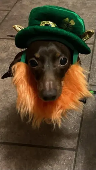 Reecie