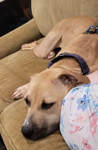 Bonnie