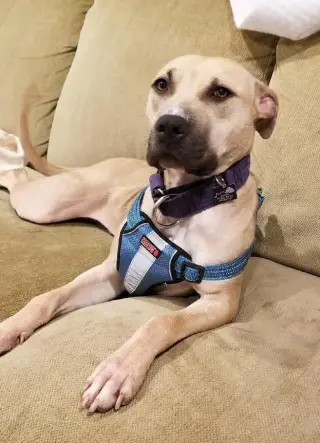 Bonnie