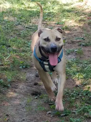 Bonnie