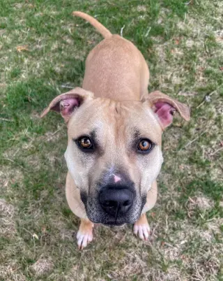 Bonnie