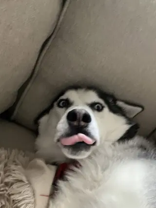 Siya