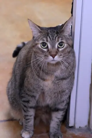 Kate