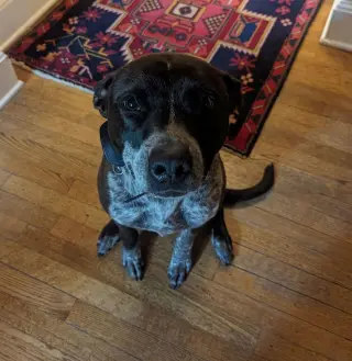 Marley