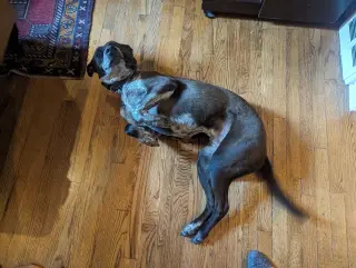 Marley
