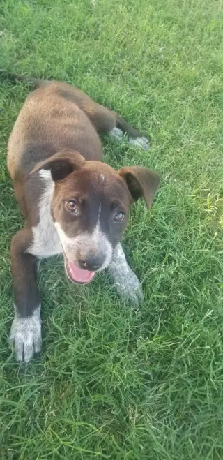 Marley
