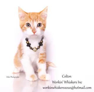 COLTON