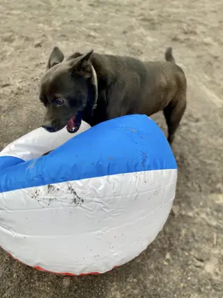 Tyson