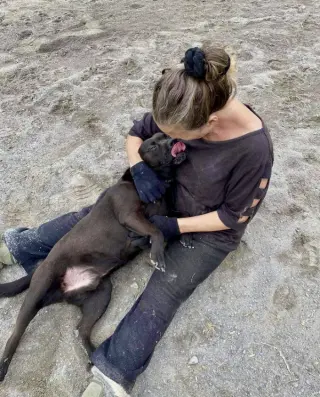 Tyson