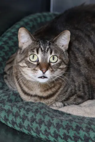 Sabrina