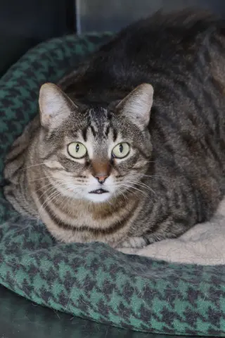 Sabrina
