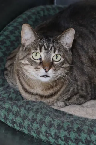 Sabrina