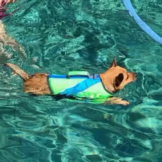 Penny