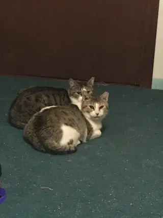 Katie Bonded w/Pearl