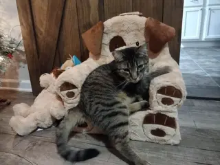 Bubba