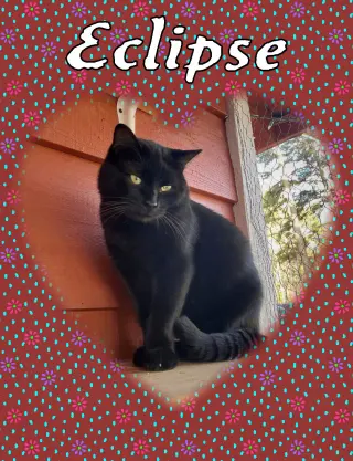 Eclipse