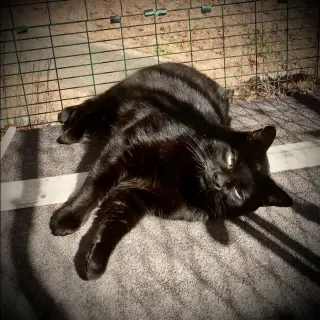 Eclipse