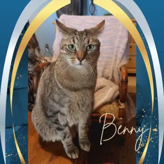 Benny