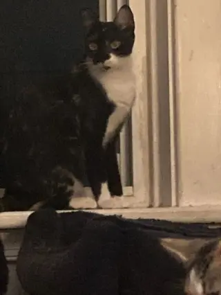 Esmae