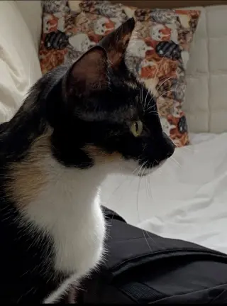 Esmae