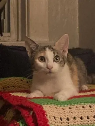 Esmae