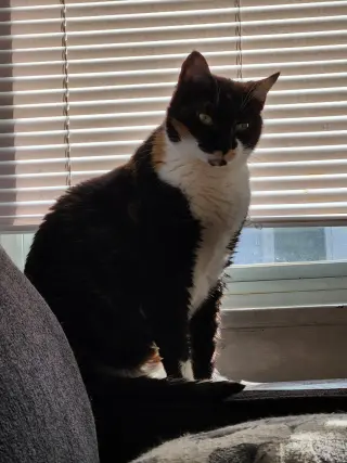 Esmae