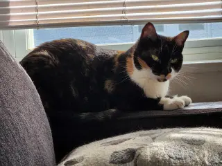 Esmae