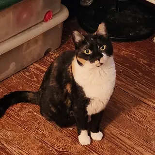 Esmae