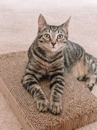 Eleanor