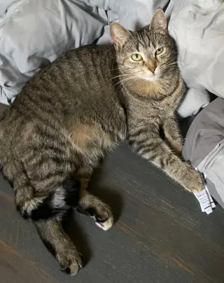 Eleanor