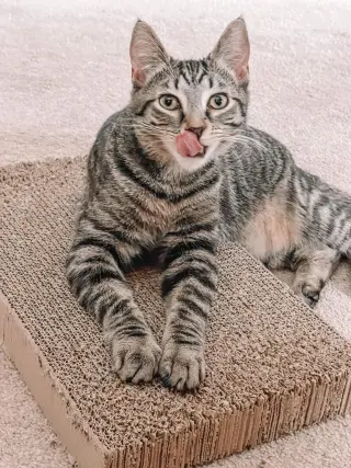 Eleanor
