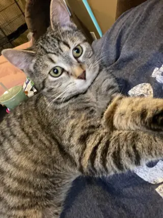 Eleanor