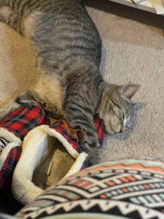 Eleanor