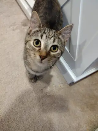 Eleanor