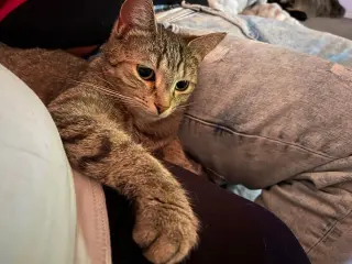 Eleanor