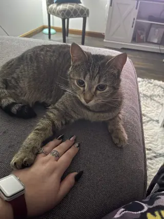 Eleanor