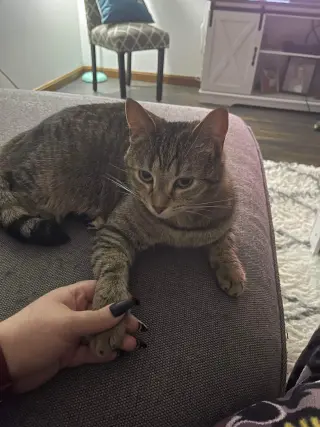 Eleanor