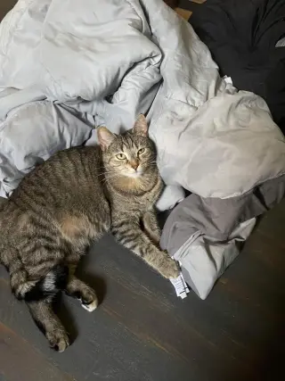Eleanor