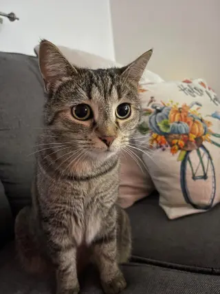 Eleanor