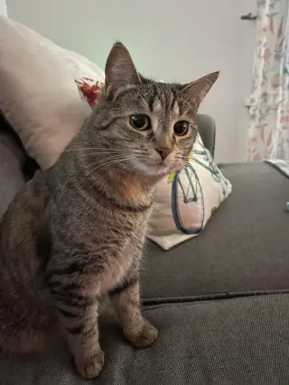 Eleanor