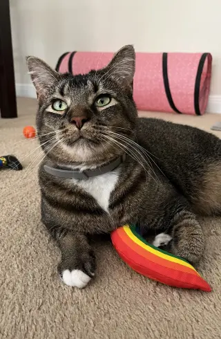 Luna