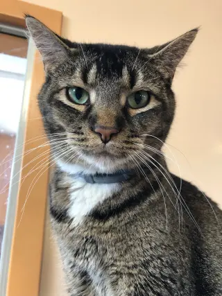 Luna