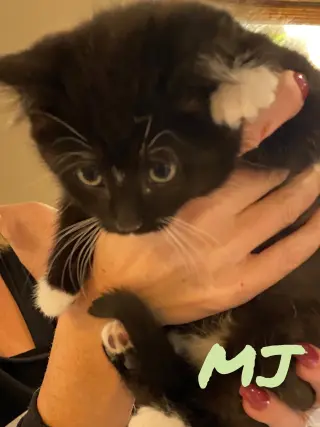 MJ