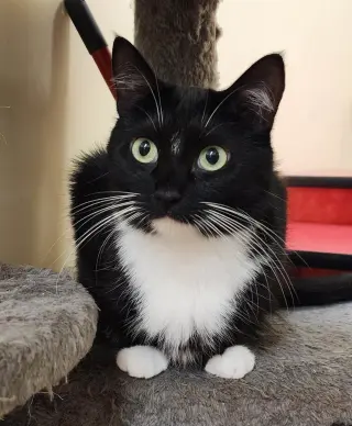 MJ