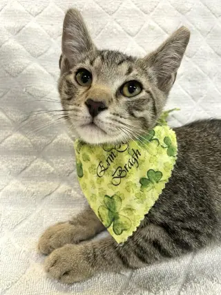 Carlos