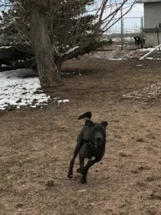 Jonah