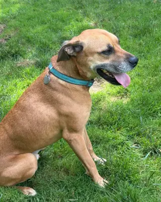 Fergus