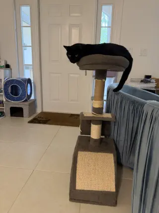 Captain Ozzy