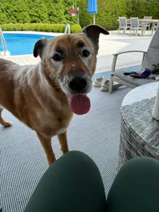 DRAKO