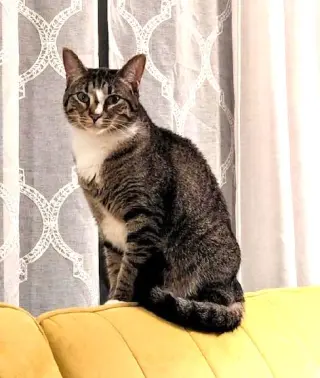 Gamora